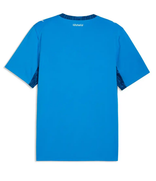 MAILLOT ISLANDE DOMICILE COUPE DU MONDE 2026